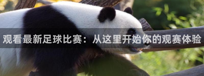 观看最新足球比赛：从这里开始你的观赛体验