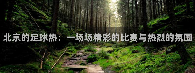 北京的足球热：一场场精彩的比赛与热烈的氛围