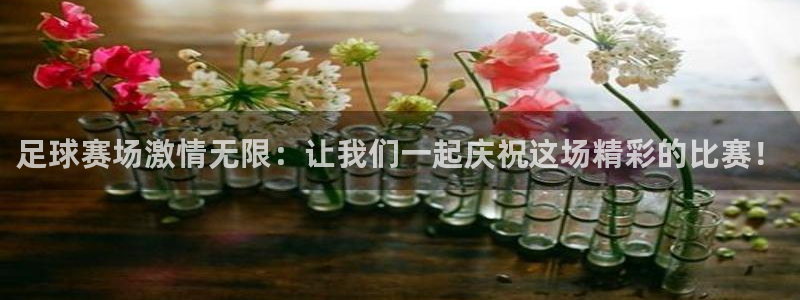 足球赛场激情无限：让我们一起庆祝这场精彩的比赛！