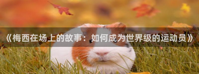  《梅西在场上的故事：如何成为世界级的运动员》