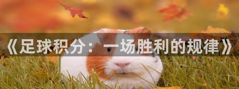 《足球积分：一场胜利的规律》