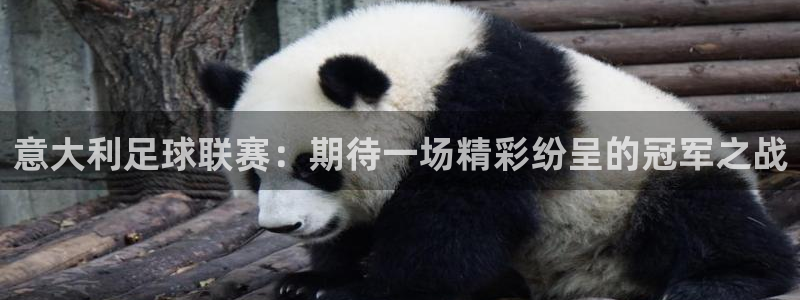 意大利足球联赛：期待一场精彩纷呈的冠军之战