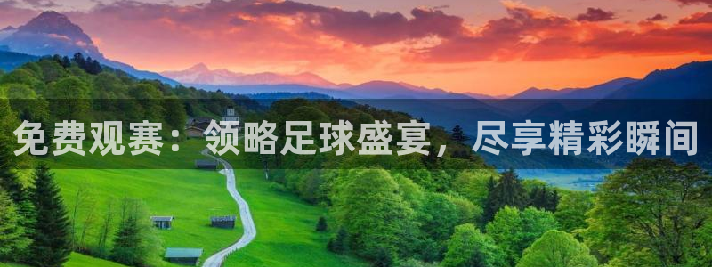 免费观赛：领略足球盛宴，尽享精彩瞬间