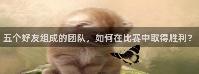  五个好友组成的团队，如何在比赛中取得胜利？