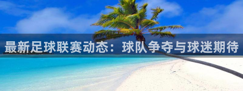  最新足球联赛动态：球队争夺与球迷期待