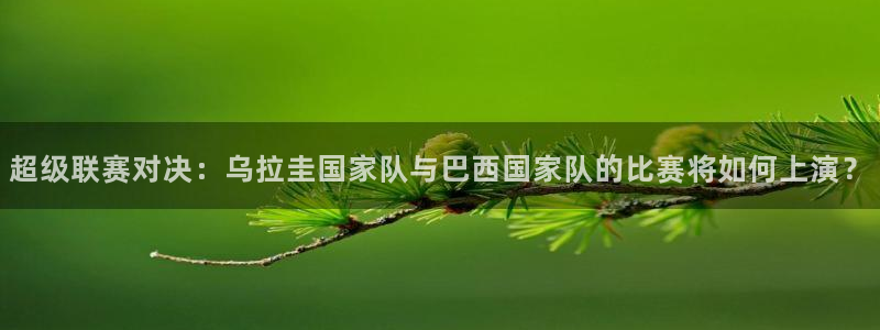 超级联赛对决：乌拉圭国家队与巴西国家队的比赛将如何上演？
