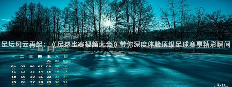 足坛风云再起：《足球比赛视频大全》带你深度体验顶级足球赛事精