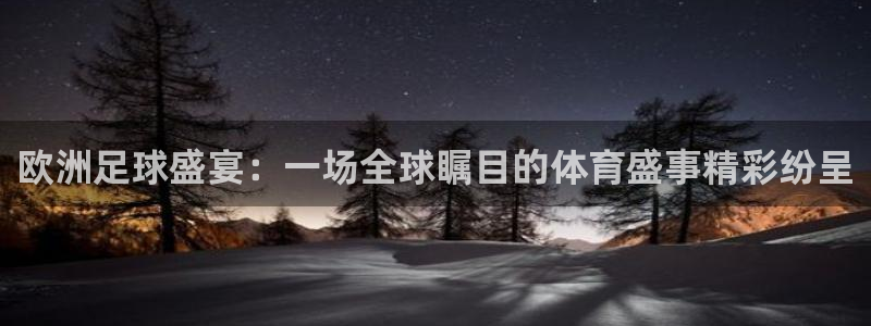 欧洲足球盛宴：一场全球瞩目的体育盛事精彩纷呈