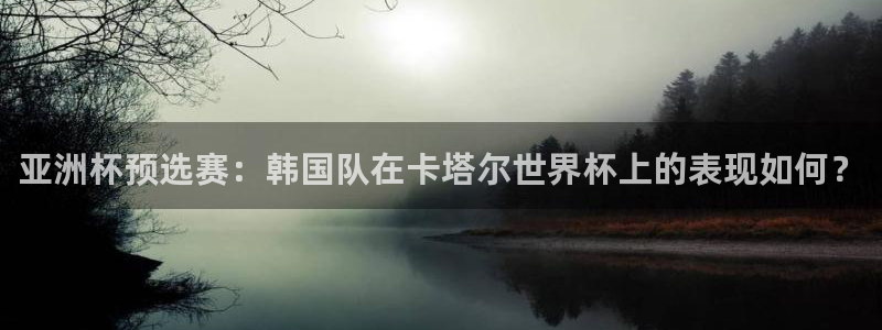  亚洲杯预选赛：韩国队在卡塔尔世界杯上的表现如何？
