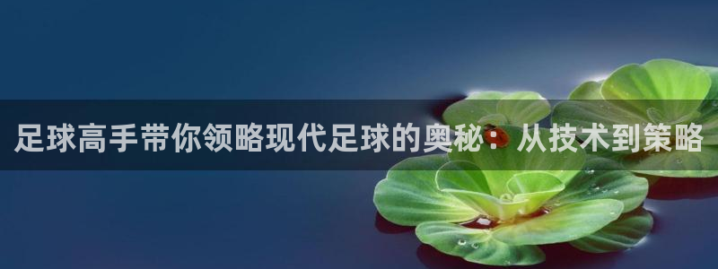 足球高手带你领略现代足球的奥秘：从技
