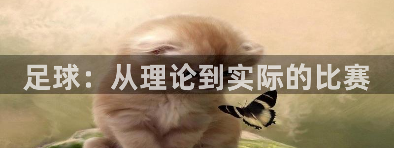 足球：从理论到实际的比赛