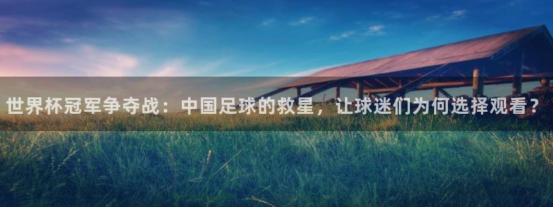 世界杯冠军争夺战：中国足球的救星，让