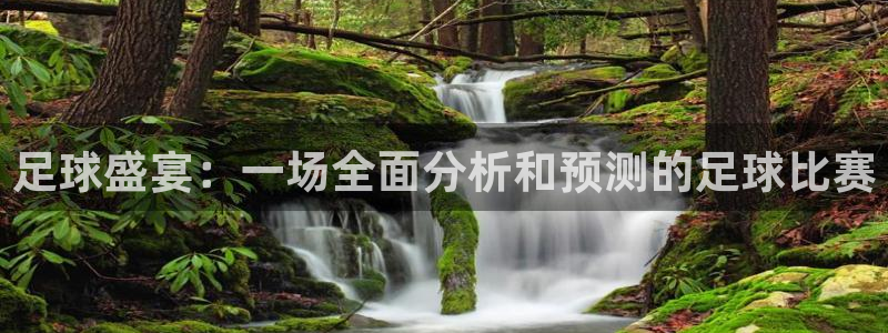 足球盛宴：一场全面分析和预测的足球比