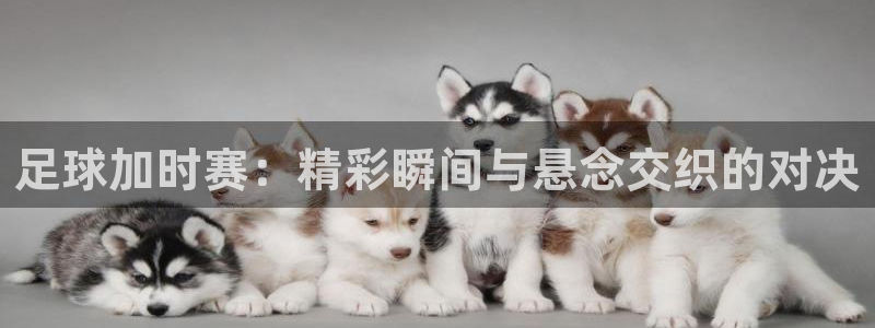 足球加时赛：精彩瞬间与悬念交织的对决