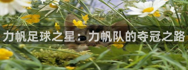 力帆足球之星：力帆队的夺冠之路