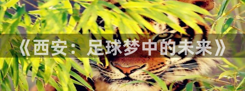 《西安：足球梦中的未来》