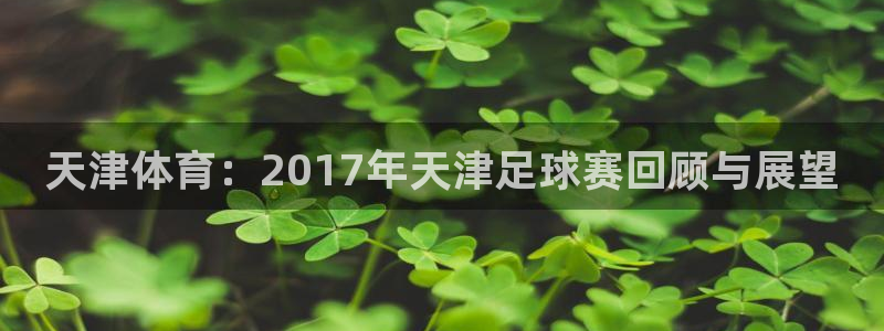 天津体育：2017年天津足球赛回顾与展望