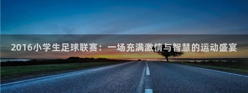 2016小学生足球联赛：一场充满激情与智慧的运动盛宴