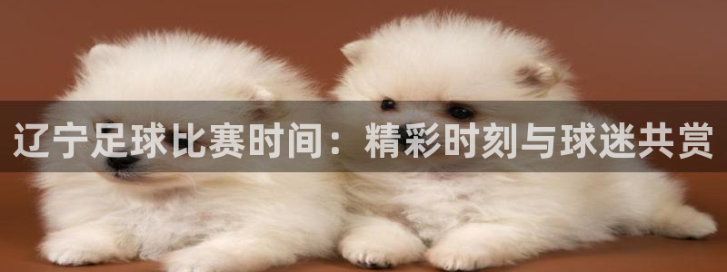 辽宁足球比赛时间：精彩时刻与球迷共赏