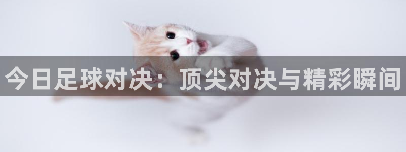 今日足球对决：顶尖对决与精彩瞬间