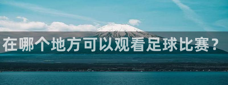 在哪个地方可以观看足球比赛？