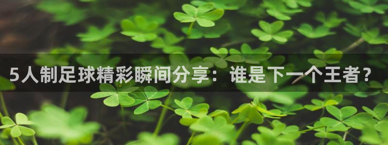 5人制足球精彩瞬间分享：谁是下一个王