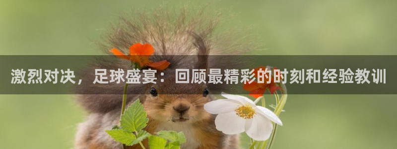 激烈对决，足球盛宴：回顾最精彩的时刻