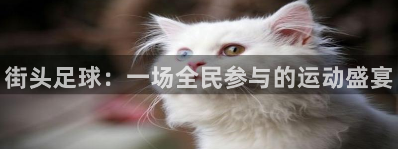 街头足球：一场全民参与的运动盛宴