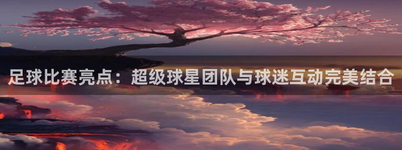 足球比赛亮点：超级球星团队与球迷互动