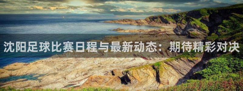  沈阳足球比赛日程与最新动态：期待精彩对决